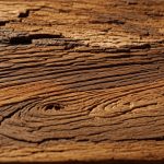 Sculpture bois : 10 techniques essentielles pour débuter